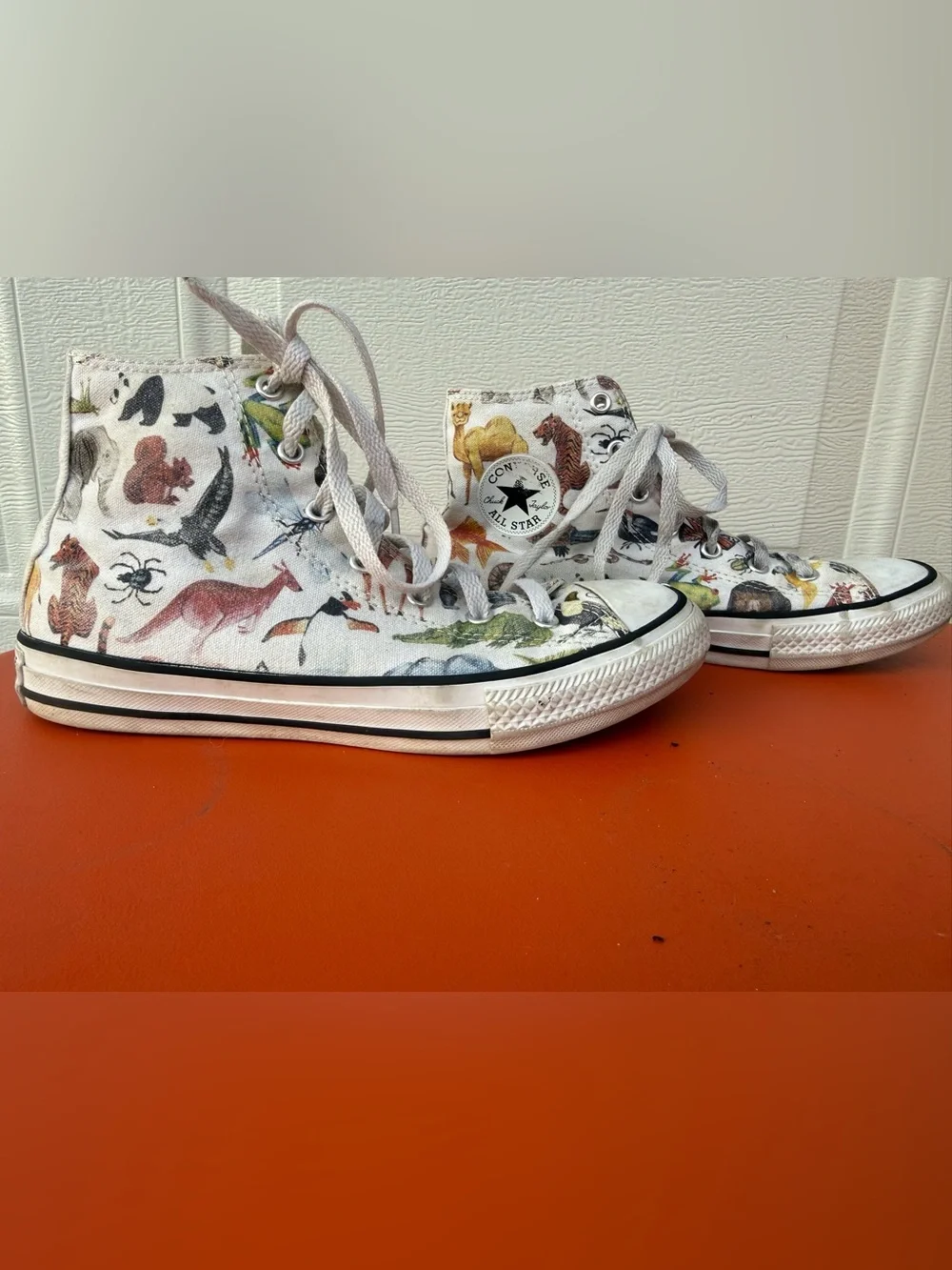 Converse Junior Chuck Taylor All Star Hi sneakers Science Class / Zoo Animals 5